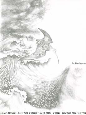 Illustration de Catalogue d'oiseaux - 7e Livre : La Buse variable - Le Traquet rieur - Le Courlis cendré
