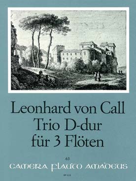 Illustration de Trio op. 2/2 en ré M