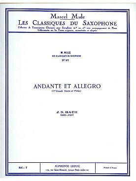 Illustration de Andante et Allegro