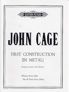 Illustration cage 1st const metal conducteur