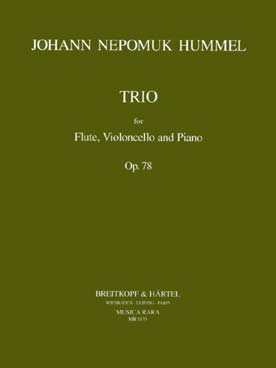 Illustration de Trio op. 78