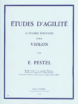 Illustration pestel etudes d'agilite