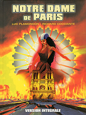 Illustration notre dame de paris recueil complet