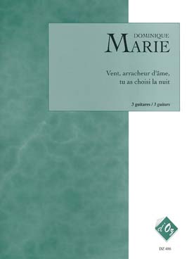 Illustration de Vent arracheur d'âme, tu as choisi la nuit   
