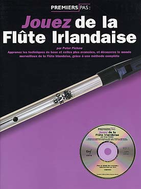 Illustration jouez de la flute irlandaise + cd