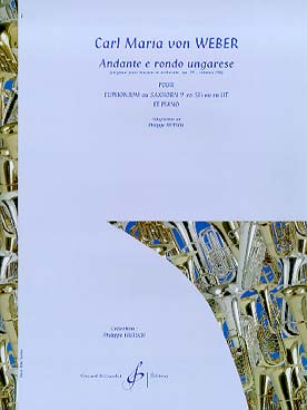 Illustration de Andante e rondo ungarese op. 35 (tr. Fritsch)