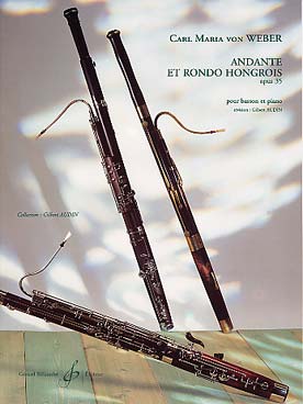 Illustration de Andante et rondo hongrois op. 35 (tr. Audin)