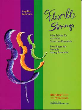 Illustration flexible strings : 5 pieces ens. cordes