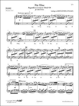 Illustration beethoven lettre a elise