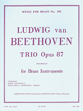 Illustration beethoven trio op. 87