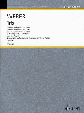 Illustration de Trio op. 63 en sol m pour flûte, violoncelle et piano