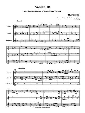 Illustration de Sonata 12