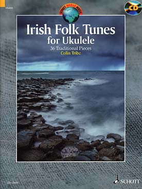 Illustration de IRISH FOLK TUNES : 36 airs traditionnels avec accès audio