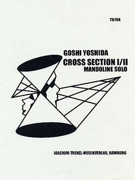Illustration yoshida cross section i/ii