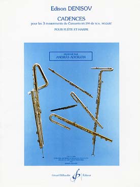 Illustration de Cadences pour les 3 mouvements du Concerto K 299   