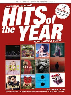 Illustration de HITS OF THE YEAR 2017 (P/V/G)
