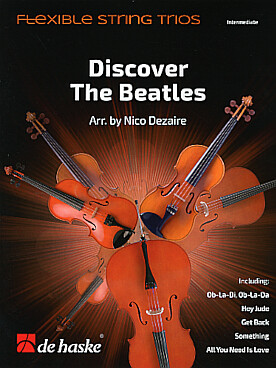 Illustration discover the beatles