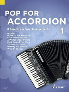 Illustration pop for accordion