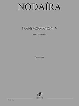 Illustration nodaira transformation v