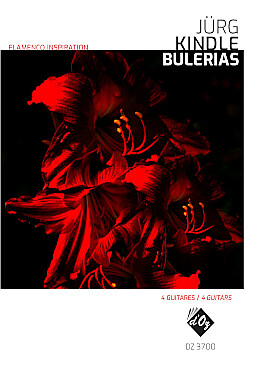 Illustration kindle flamenco inspiration : bulerias