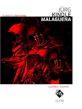 Illustration kindle flamenco inspiration - malaguena