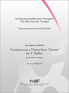 Illustration arban variations sur un theme de "norma"