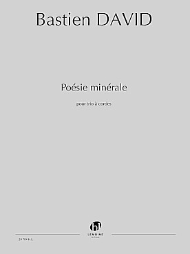 Illustration david poesie minerale