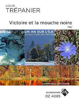 Illustration de Un An sur l'Île - Mai : Victoire et la mouche noire